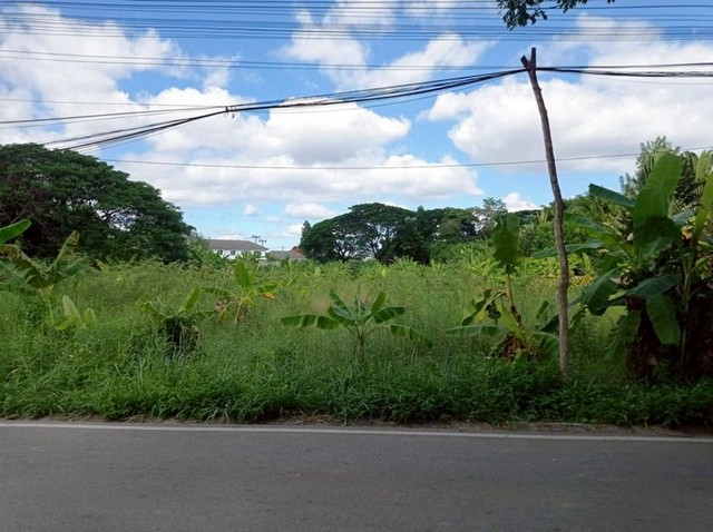ที่ดินทำเลดี พื้นที่สีเหลือง บรยากาศสงบ โซนแม่เหียะ