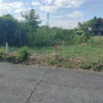 ขายที่ดิน 57.5 ตรว. ติดถนนหน้าหมู่บ้านโดมทอง อ.เมืองปทุมธานี