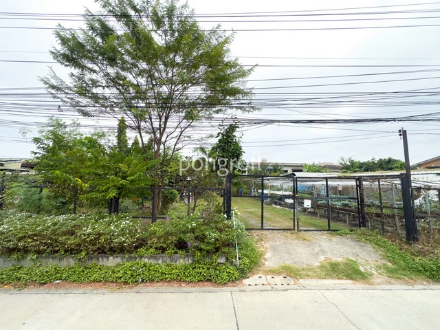 ที่ดิน 198 ตรว. ถมแล้วแปลงสวย รามอินทรา–สุขาภิบาล 5