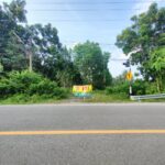 ขายที่ดินเปล่า 2 ไร่ ติดชายหาดบ้านหนองบัว อ.ละแม จ.ชุมพร