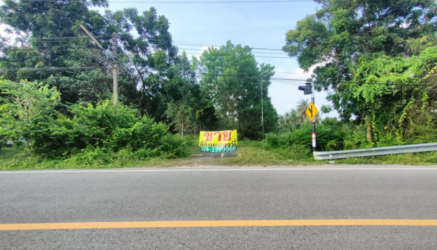 ขายที่ดินเปล่า 2 ไร่ ติดชายหาดบ้านหนองบัว อ.ละแม จ.ชุมพร