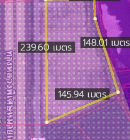 ขายและให้เช่าที่ดินผังม่วงบ่านเก่าพานทองชลบุรี 21-5-93 ไร่