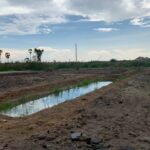 ขายที่ดินขนาด 177ตรว ซอยสถาพร ใกล้รพ.เอกชล2 เสม็ด ชลบุรี