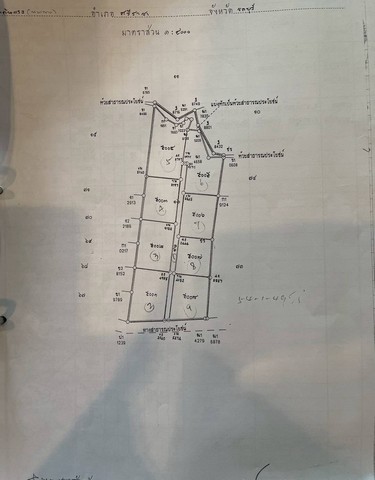 ขายและให้เช่าที่ดินศรีราชาชลบุรี ที่เปล่า 52-1-71