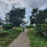 ขายที่ดินเปล่าพุนพิน เขาหัวควาย ทำเลดี เข้าออกได้ 2 เส้นทาง