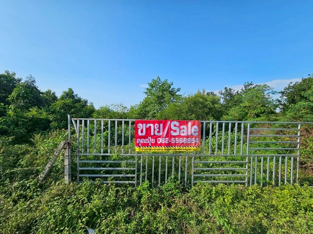 ขายที่เปล่าราชบุรีติดถนนทางหลวงชนบททำเลทองราคาก็ดีมาก