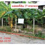 ขายที่ดินถมแล้ว 29 ตรว. ทำเลดี ช่างอากาศอุทิศ 13/1 ดอนเมือง กรุงเ