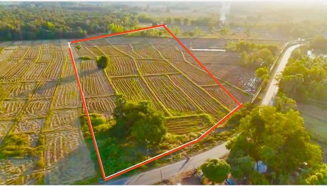 ขายที่ดินติดทางหลวงสวยๆ ตำบลบ้านเดื่อ อ.ท่าบ่อ จ.หนองคาย