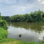 ขายที่ดินติดแม่น้ำแควน้อย กาญจนบุรี หน้าน้ำกว้างมาก