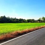 ขายที่ดิน 11 ไร่ หน้ากว้างมากติดถนนลาดยาง ใกล้อบตองครักษ์ ทำเลค้า