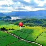 ขายที่ดินหนองปรือ กาญจนบุรี 99 ไร่ อยู่ใกล้อ่างเก็บน้ำห้วยกระพร้อ