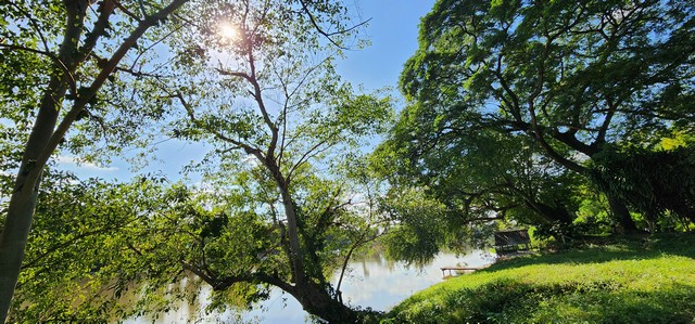 ขายที่ดินติดแม่น้ำแควน้อย กาญจนบุรี