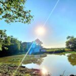 ขายที่ดินติดน้ำติดคลอง องครักษ์ คลอง 15 นครนายก