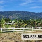 ขายที่ดินในโครงการ vip วิวเขาอลังการ เพื่อนบ้านไฮโซ ย่านเขาพระ นค