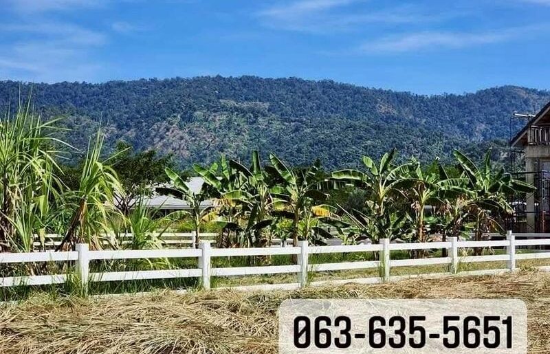 ขายที่ดินในโครงการ vip วิวเขาอลังการ เพื่อนบ้านไฮโซ ย่านเขาพระ นค