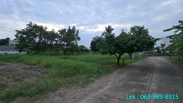 ขายที่ดินแปลงสวย หมู่บ้าน Beverly Hill ดอนเมือง เนื้อที่ 499.1 ต