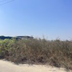 -เหมาะสร้างโรงงานสร้างโกดัง ที่อยู่อาศัย