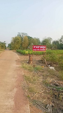 ขายที่ดินวิวภูเขา กาญจนบุรี วิวภูเขาสวย บรรยากาศธรรมชาติ