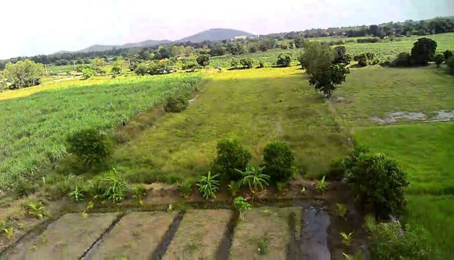 ขายที่ดินเปล่า ทำเลดี ติดถนนปูน ไฟฟ้าถึง จังหวัดสุพรรณบุรี
