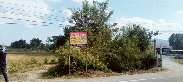 ขายที่ดินเปล่า แปลงใหญ่ 36-3-40 ไร่ หนองยาว ลาดยาว นครสวรรค์