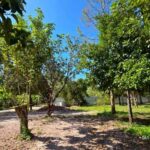 ขายสวนผลไม้รวม ใกล้เขื่อนขุนด่าน ต.หินตั้ง อ.เมือง จ.นครนายก