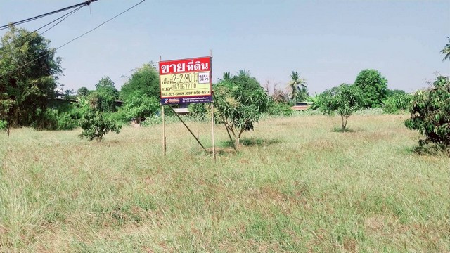 ขายที่ดิน 2-2-80 ไร่ ติดถนนหลักบ้านแก่ง-นครสวรรค์ เมืองนครสวรร