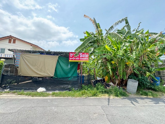 ขายที่ดินเปล่า 72 ตร.ว. ทำเลดีถมแล้ว ที่เปล่าพุทธมณฑลสาย 2 กรุงเท