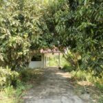 ขายที่ดิน 3,410,000บ. นนทบุรีที่ดิน341ตรว.บ้านสวนใกล้กรุงเทพ