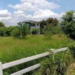 ที่ดินแบ่งขาย1ไร่ติดถนนเส้นพระบาทน้อย0934415691ถนนทุกแปลง