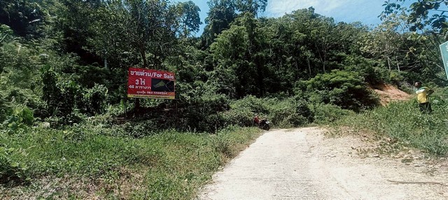 ขายที่เปล่าภูเก็ต…ที่ดินอำเภอกะทู้ ภูเก็ต…ที่ภูเก็ตวิวภูเขา