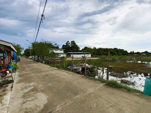 ขายที่ดินแปลงสวย 300 ตร.ว.ซอยเทศบาลบางปู 126 (ซอยคลองตาก๊ก)