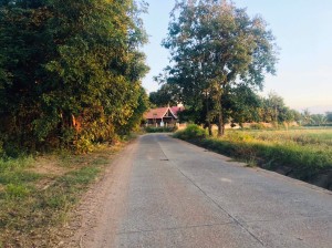 ที่ดิน ขาย ใกล้ทางหลวงหมายเลข24 ใกล้ถนนโชคชัย-เดชอุดม ที่นา-ที่ดินราคาถูกนครราชสีมา เข้าออกหมู่บ้านได้2เส้นทาง น้ำประปาไฟฟ้าผ่านหน้าที่นา