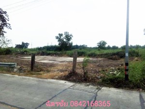 ขาย ที่ดิน เหมาะทำหมู่บ้านจัดสรร เหมาะจัดสรรแบ่งขาย, ขายถูก ที่ดินธัญบุรีคลอง6,หรือปทุมธานี โครงการเชิงพาณิชย์