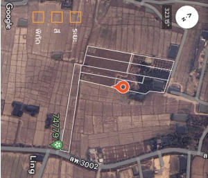 ที่ดิน ขาย ใกล้แหล่งชุมชน-ตลาด-ห้าง-โรงพยาบาล ติดถนนบ้านบูชา-ป่าสัก เจ้าของขายเอง ตำบลป่าสัก ขายที่ดินอำเภอเมืองลำพูนราคาถูก