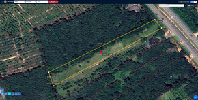 ขาย ที่ดิน พร้อมไฟฟ้าน้ำประปา ที่ดินป่าบอนถูกกว่าใกล้เคียง ติดถนนเพชรเกษม ที่ดินพัทลุงราคาถูก อสังหาพัทลุงราคาคุ้มสุด