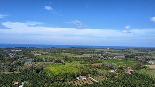 ขาย ที่ดิน ขายที่ดินใกล้หาดนาใต้ไม่เกินล้าน ซื้อที่ดินโคกกลอยเจ้าของขายเอง ใกล้สนามบินภูเก็ตใกล้ทะเล ที่ดินเปล่าโคกกลอยโฉนดพร้อมโอน เหมาะทำบ้านพักตากอากาศ