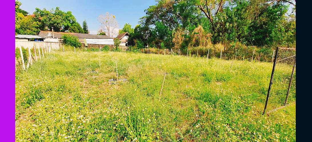 ประกาศ ขาย ติดซอยเข้าถึงง่าย ที่ดินเชียงใหม่ยินดีรับนายหน้าป่าแดด อยู่ในโซนที่มีความต้องการที่อยู่อาศัยสูง อพาร์ตเมนต์หรือทำโฮมออฟฟิศ เหมาะสำหรับสร้างบ้านสร้างบ้านเช่า