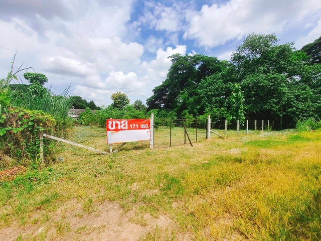 ที่ดิน ขาย บ้านป่าพร้าวนอกซอย6วงแหวนรอบ1 ยินดีรับนายหน้า เหมาะสร้างบ้านเช่าทำออฟฟิศ เหมาะสร้างบ้านอพาร์ตเมนต์หอพัก ใกล้ทั้งเมืองสนามบินและศูนย์การค้า